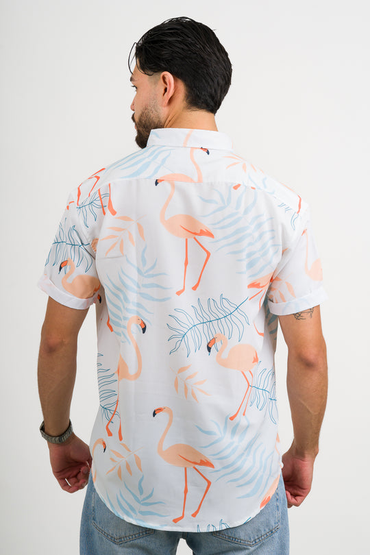 Camisa Button Flamingo