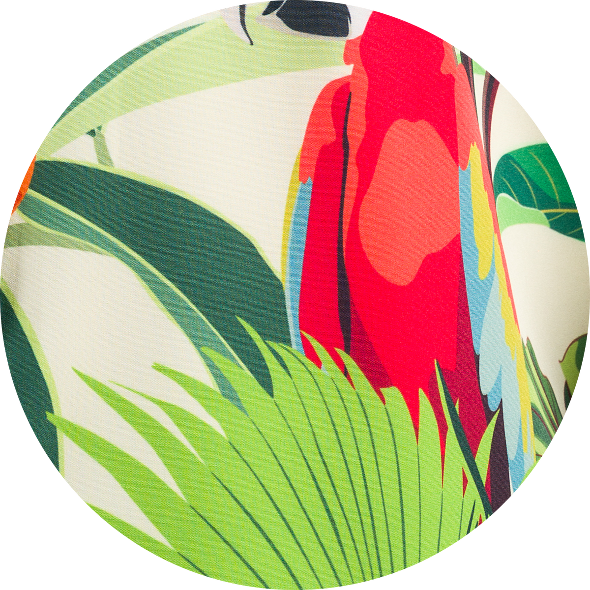 Camisa Button Teapik